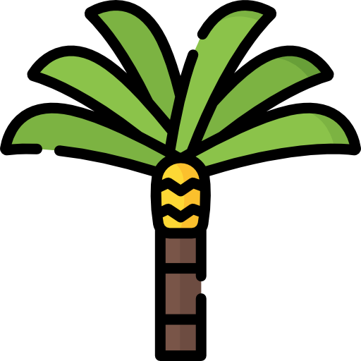 palm tree